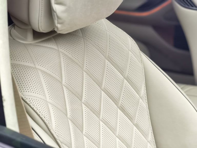 Premium leather seats interior