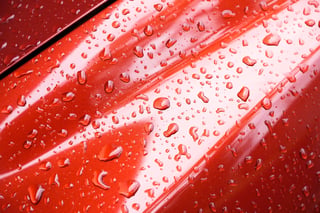 Water beading on black car